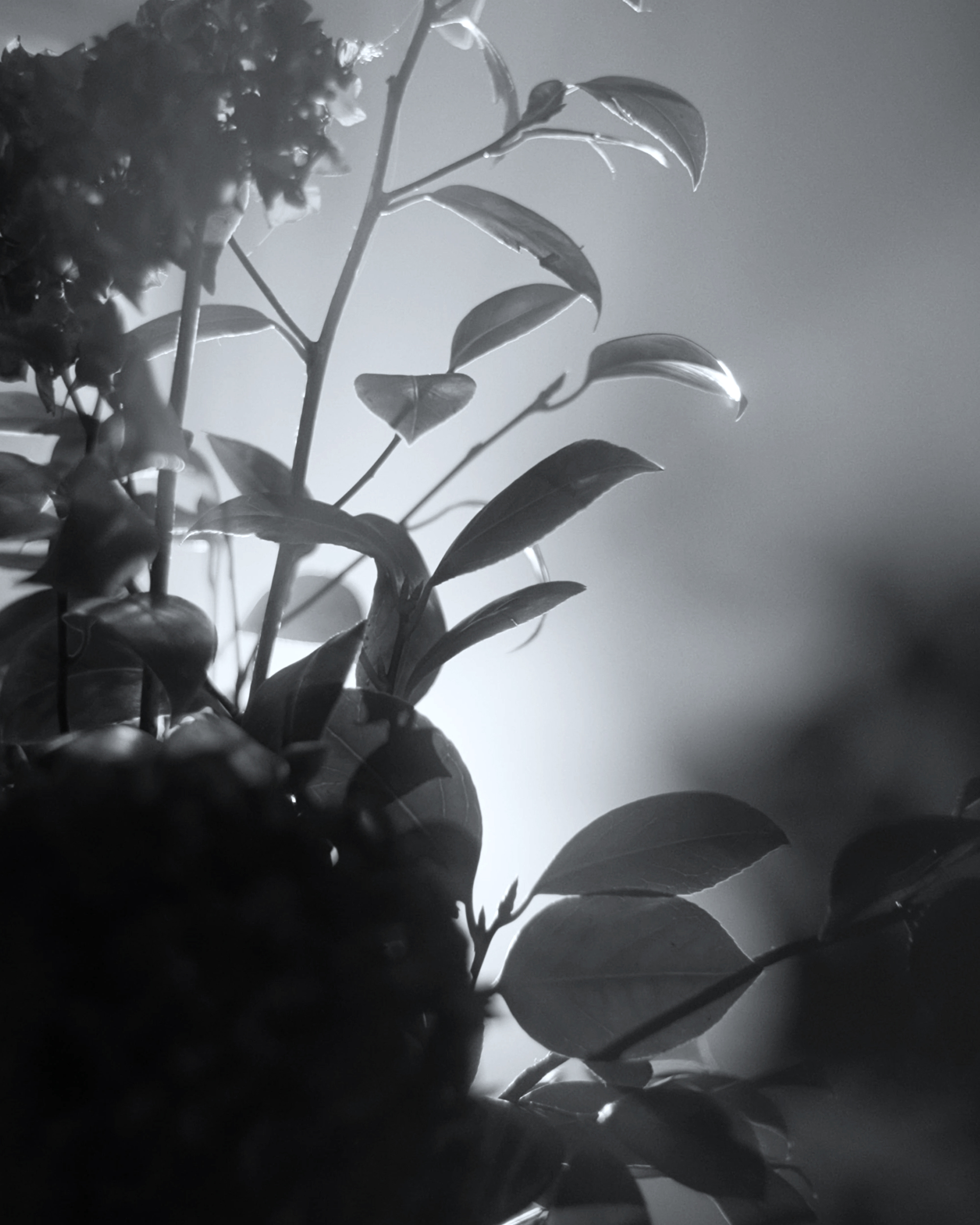 Mark Castle | Film Director & Content Creator, home: Works (Fig. 47)