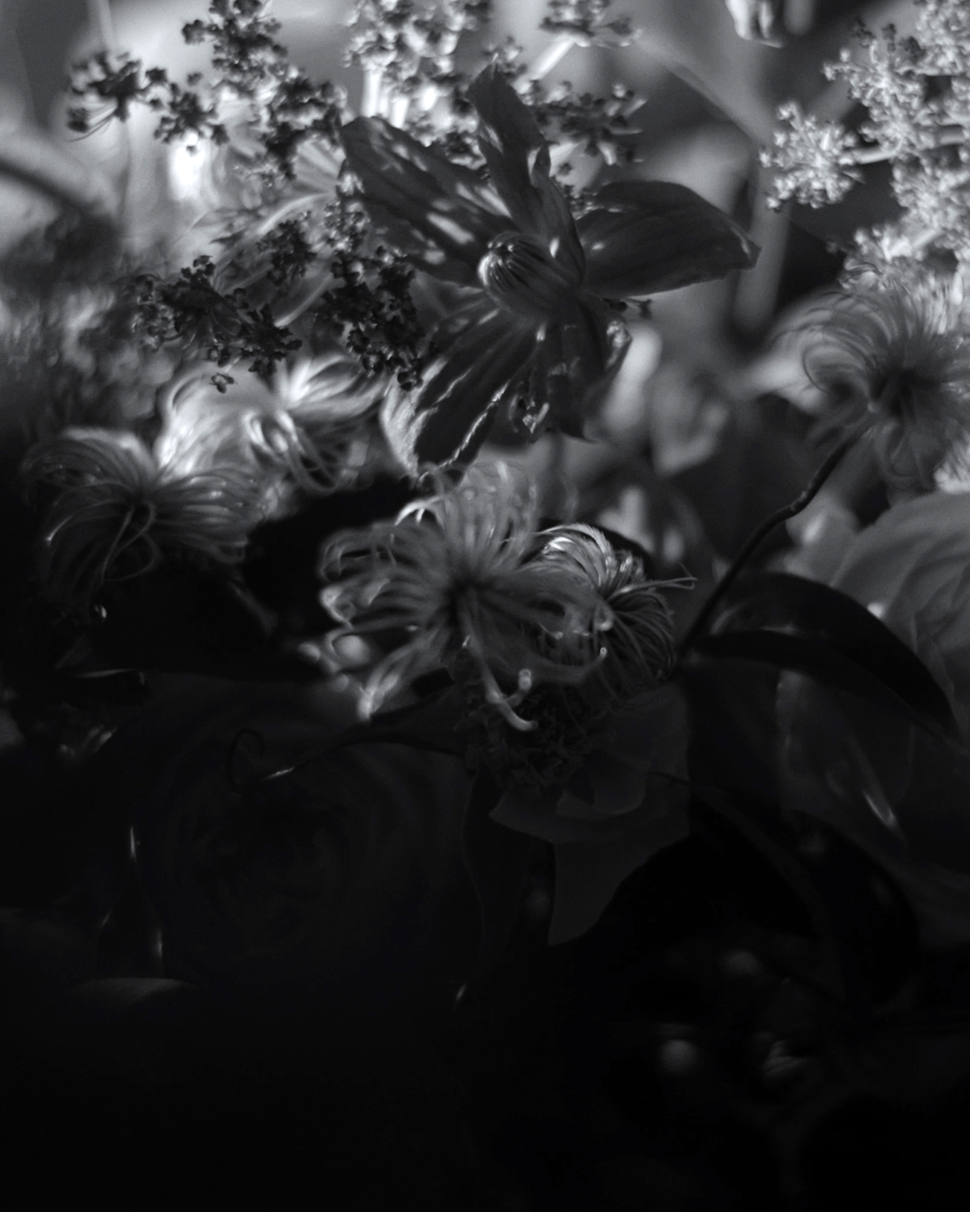 Mark Castle | Film Director & Content Creator, home: Works (Fig. 36)