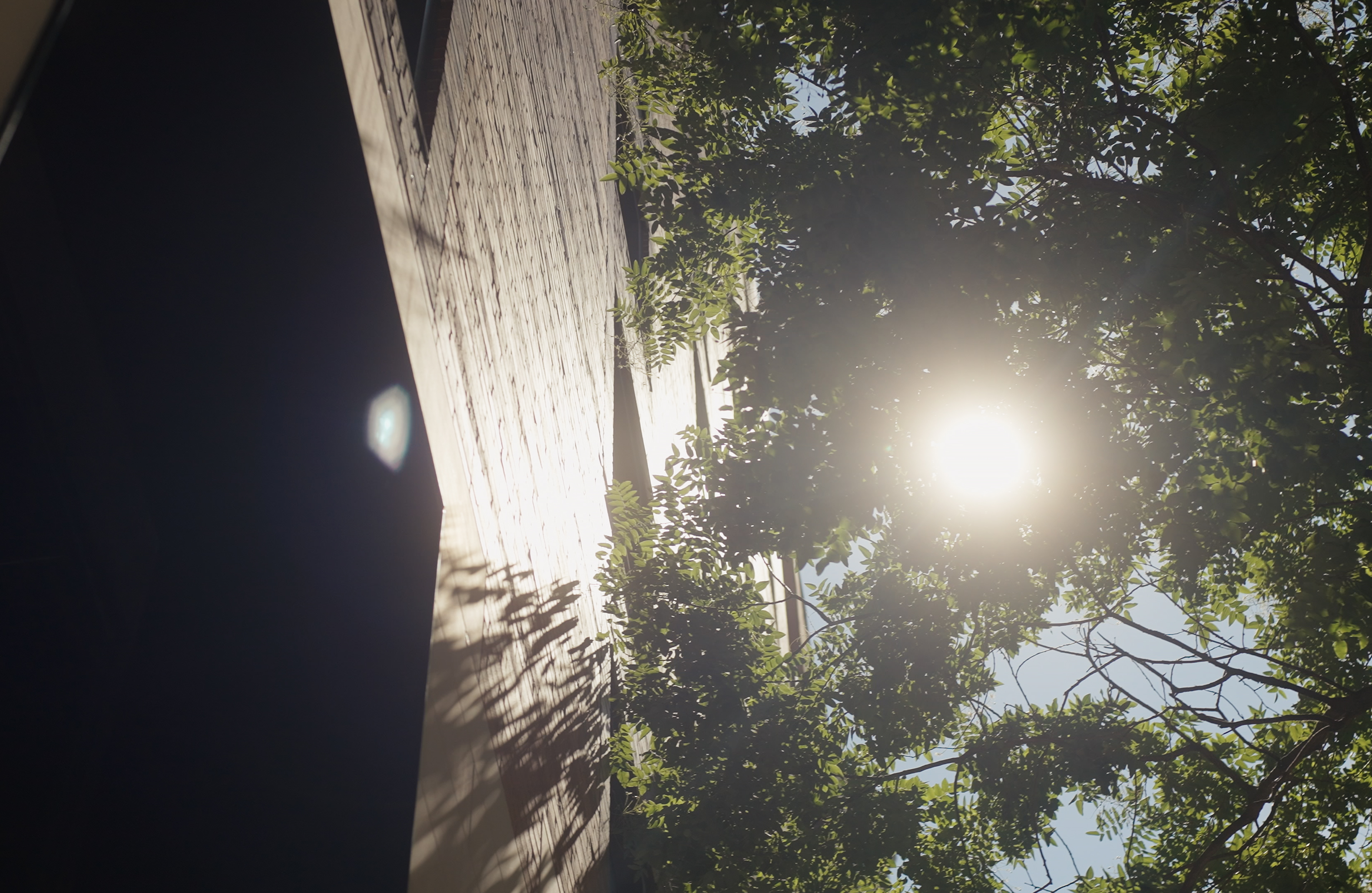 Mark Castle | Film Director & Content Creator, home: Works (Fig. 106)