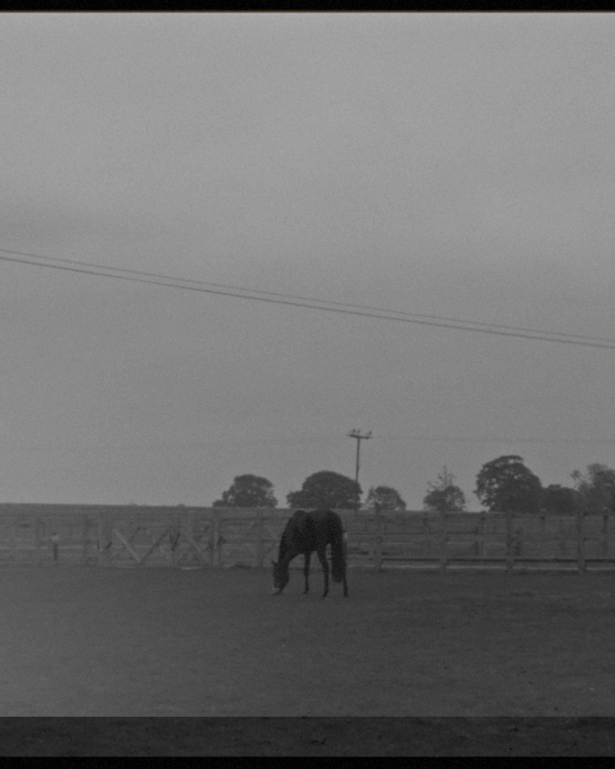 Mark Castle | Film Director & Content Creator, home: Works (Fig. 94)