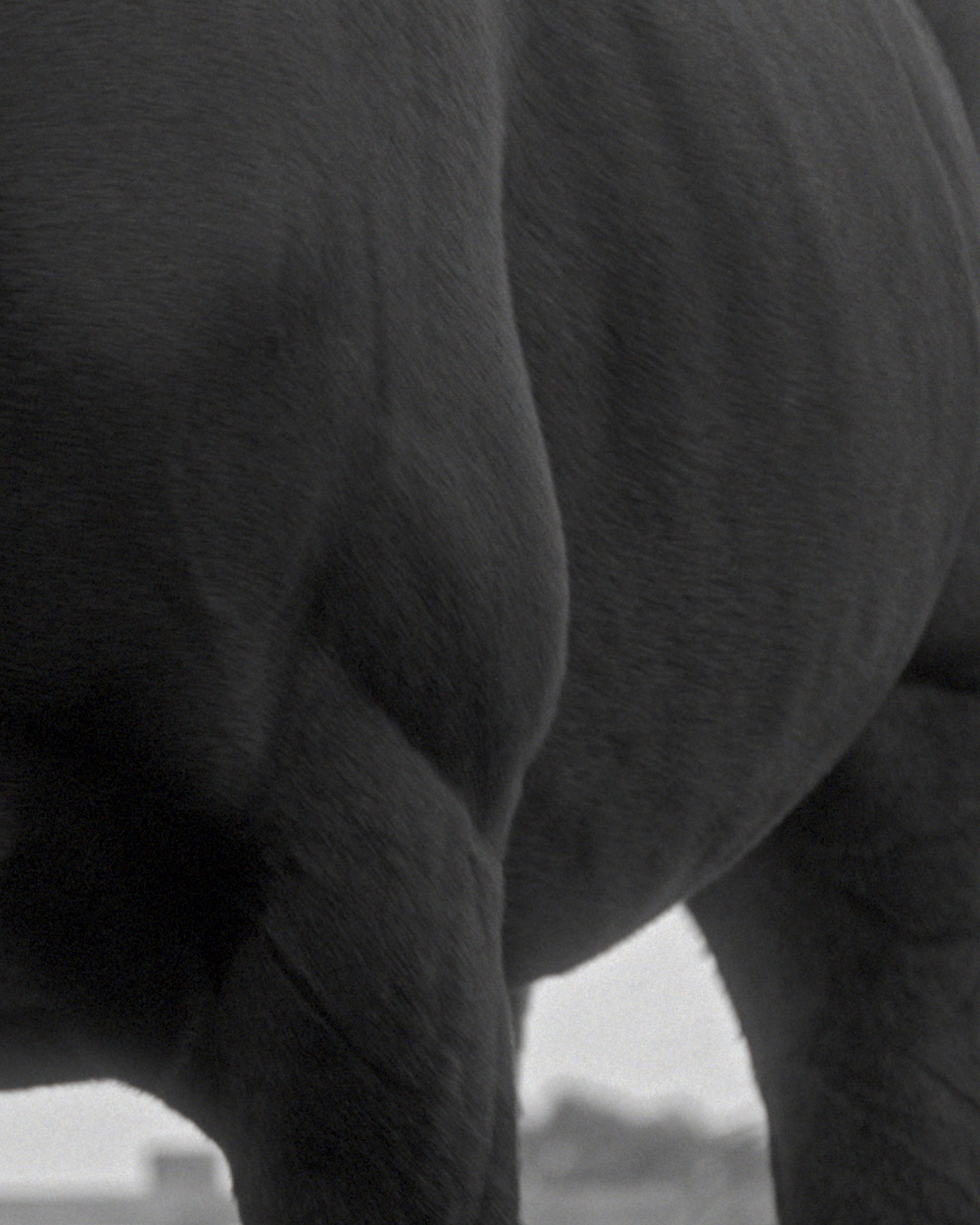 Mark Castle | Director, home: Works (Fig. 75)