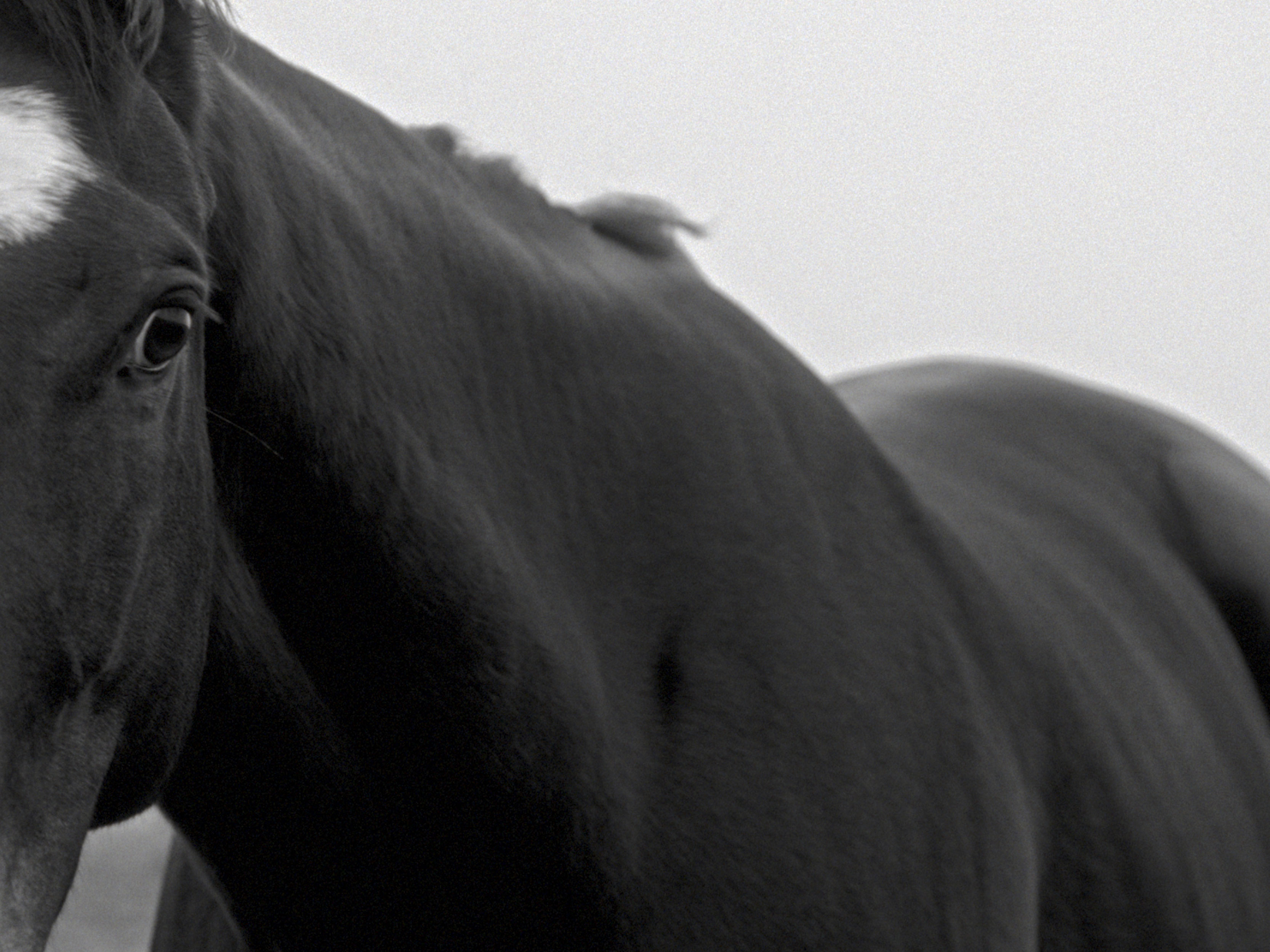 Mark Castle | Film Director & Content Creator, home: Works (Fig. 102)