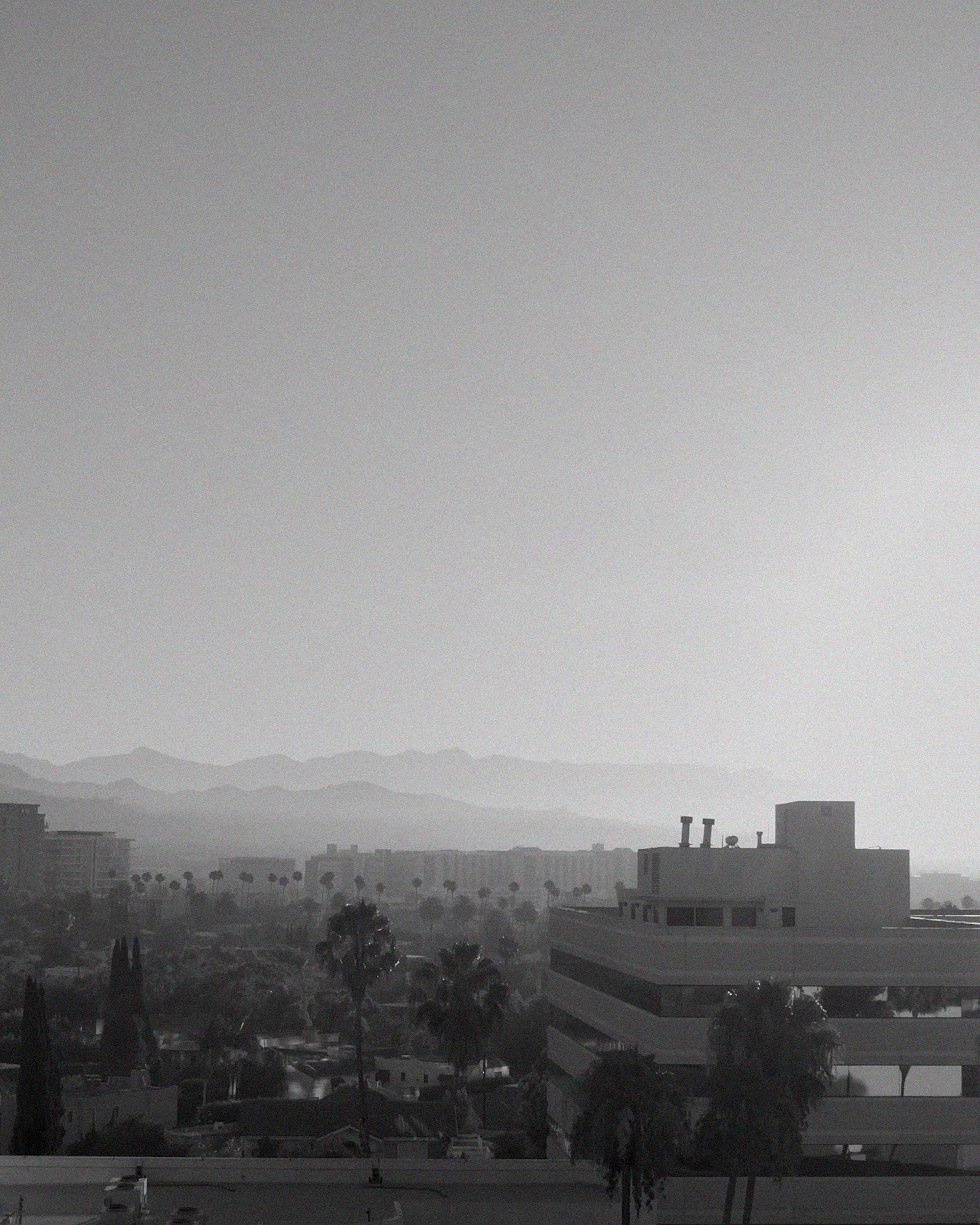 Mark Castle | Director, home: Works (Fig. 38)