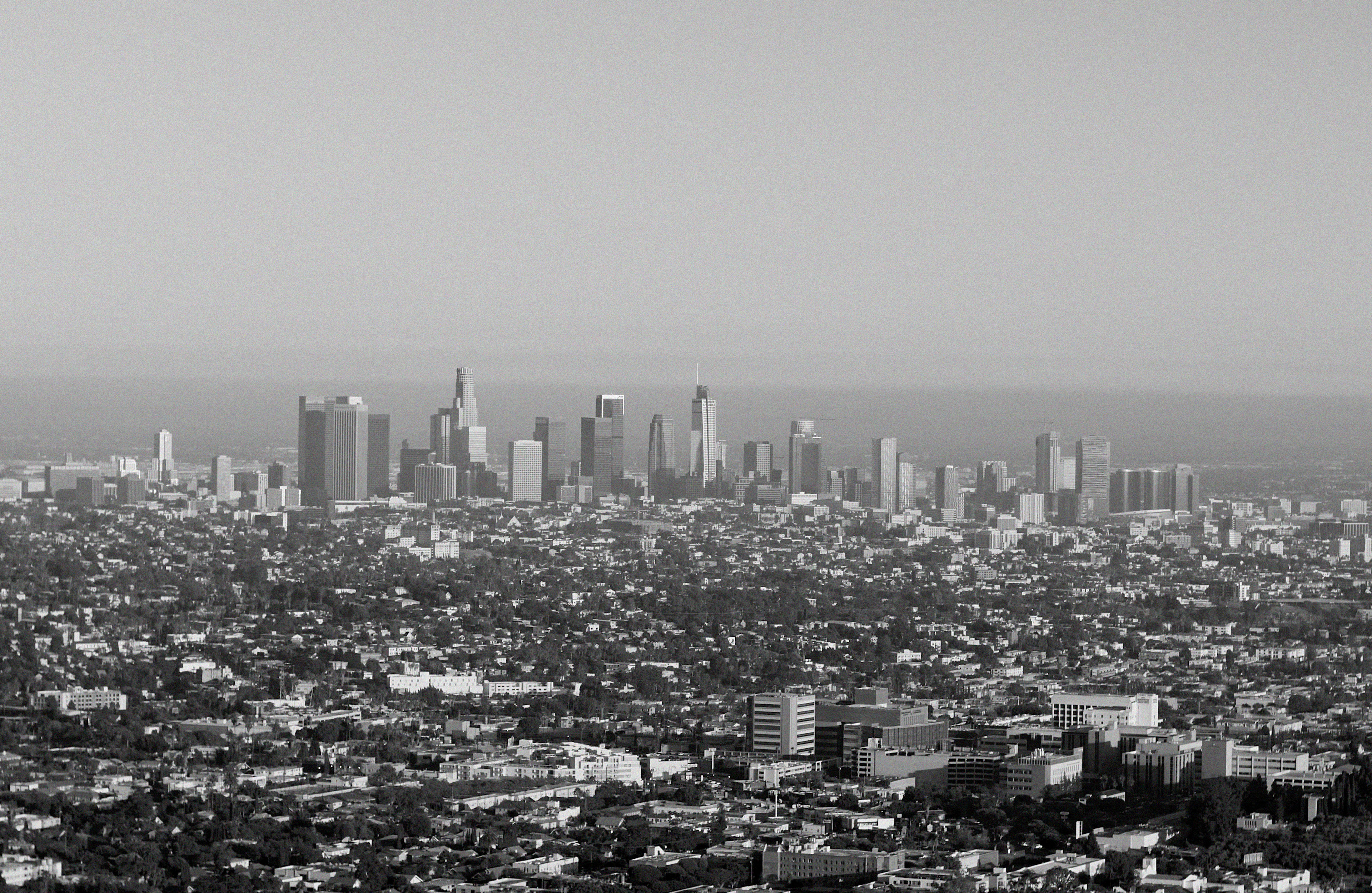 Mark Castle | Film Director & Content Creator, home: Works (Fig. 52)