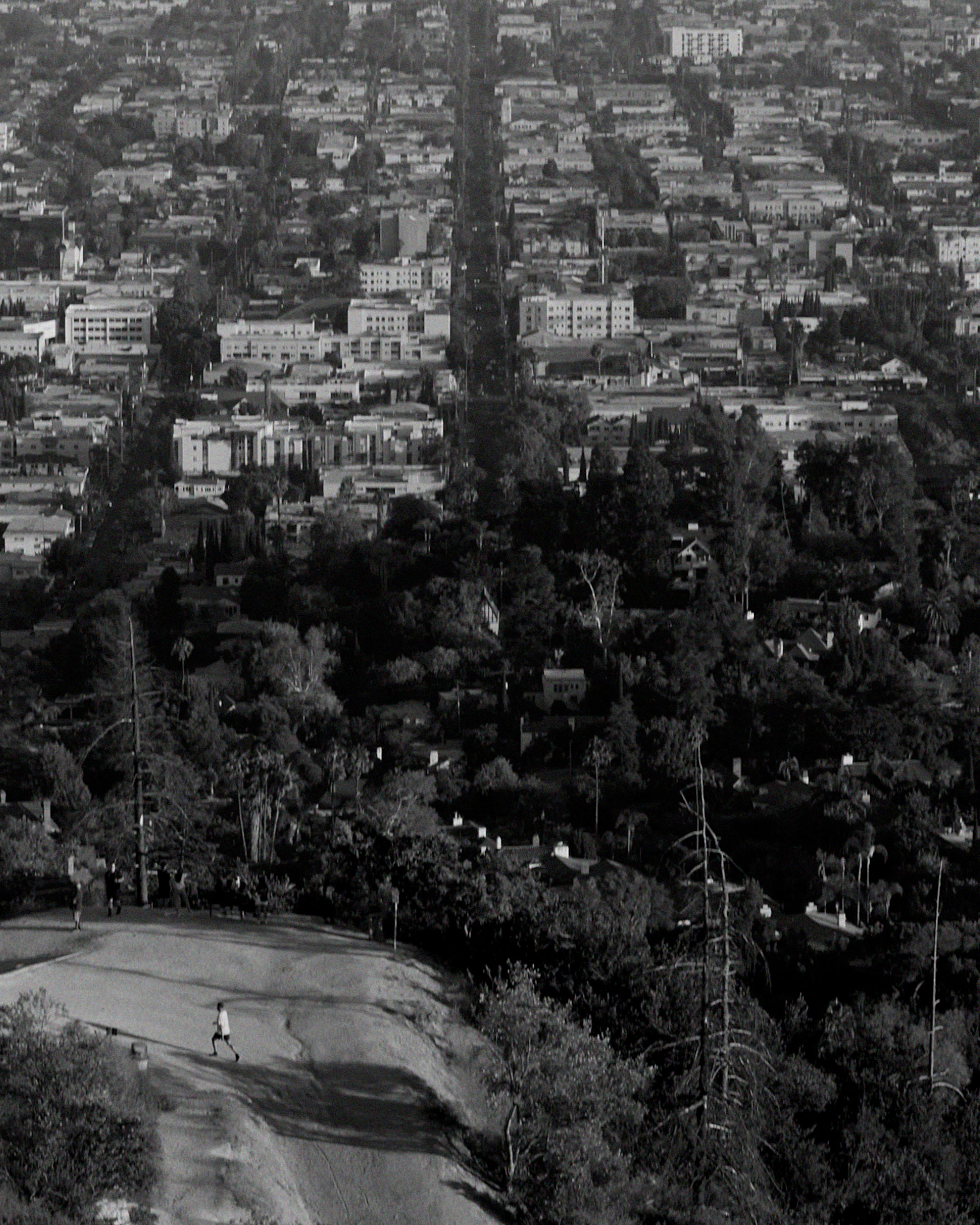 Mark Castle | Director, home: Works (Fig. 37)