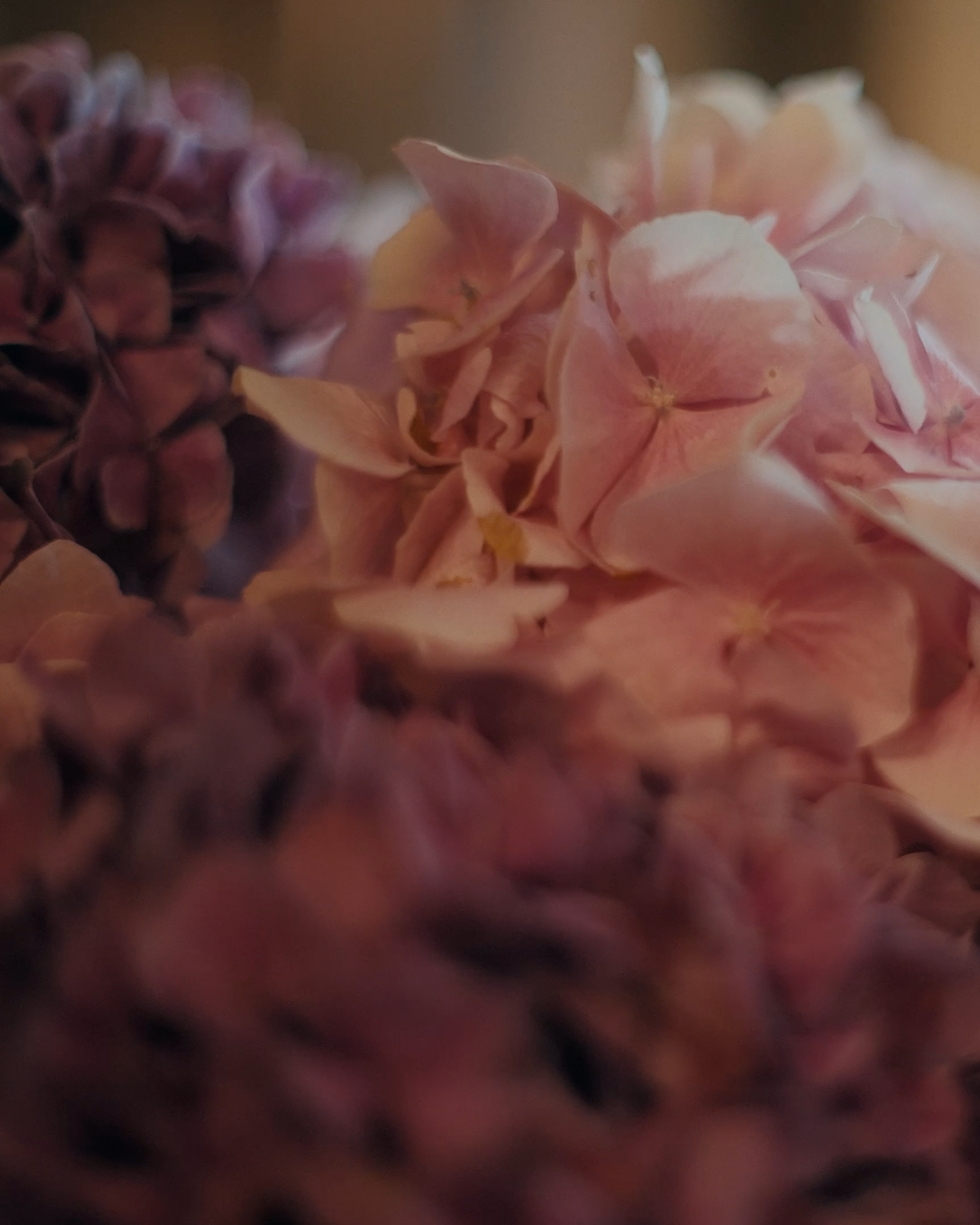 Mark Castle | Director, home: Works (Fig. 43)