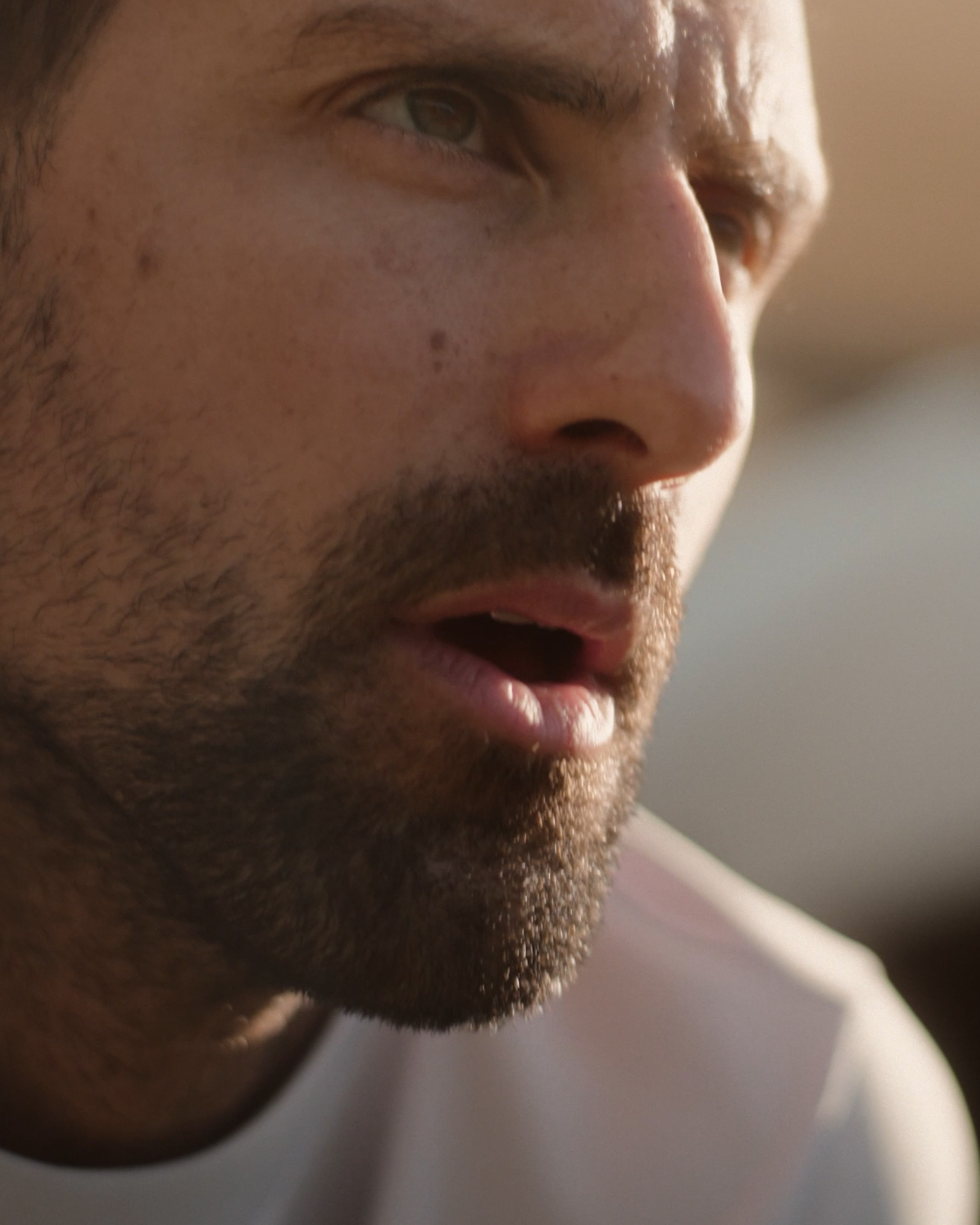 Mark Castle | Director, home: Works (Fig. 13)