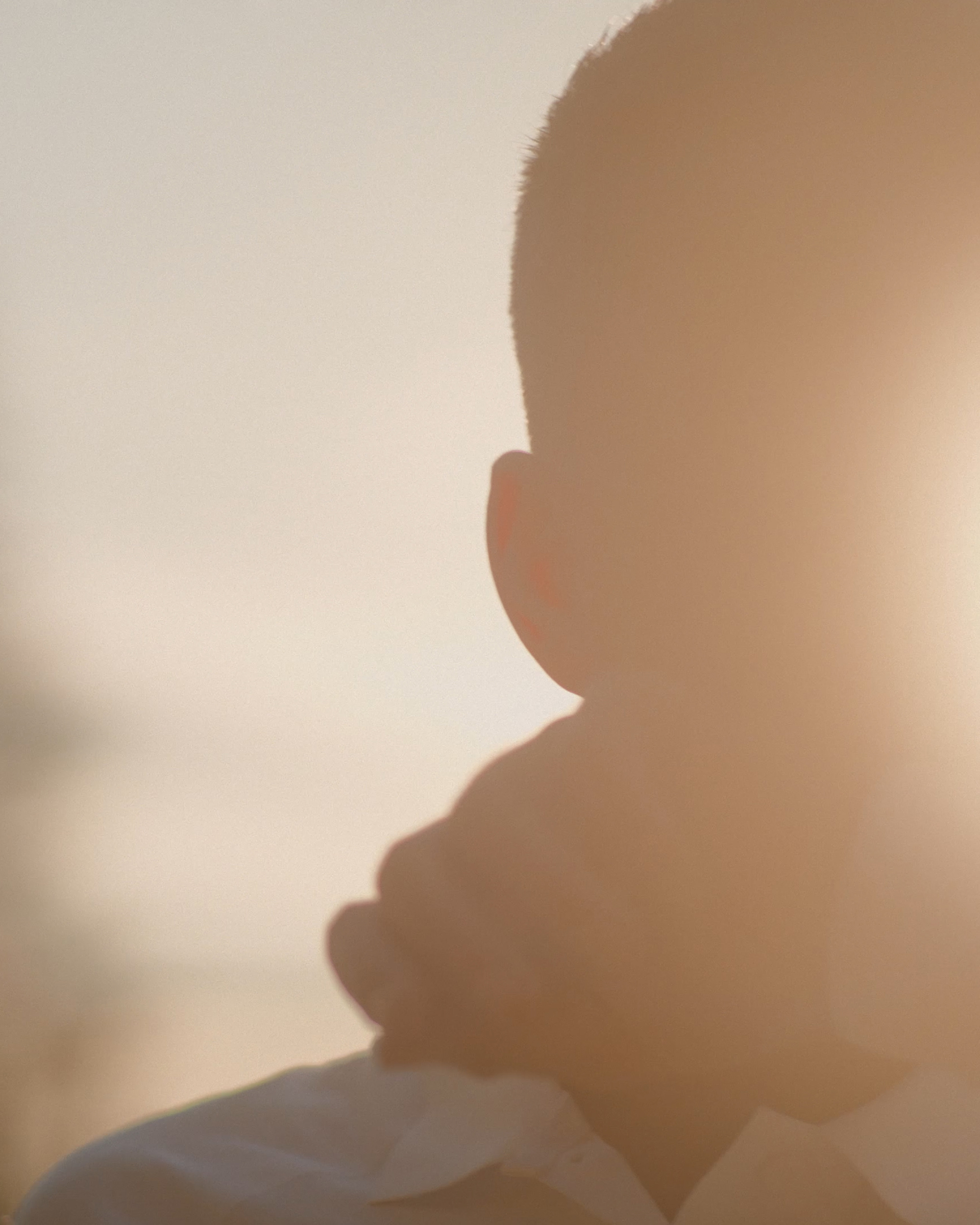 Mark Castle | Director, home: Works (Fig. 6)