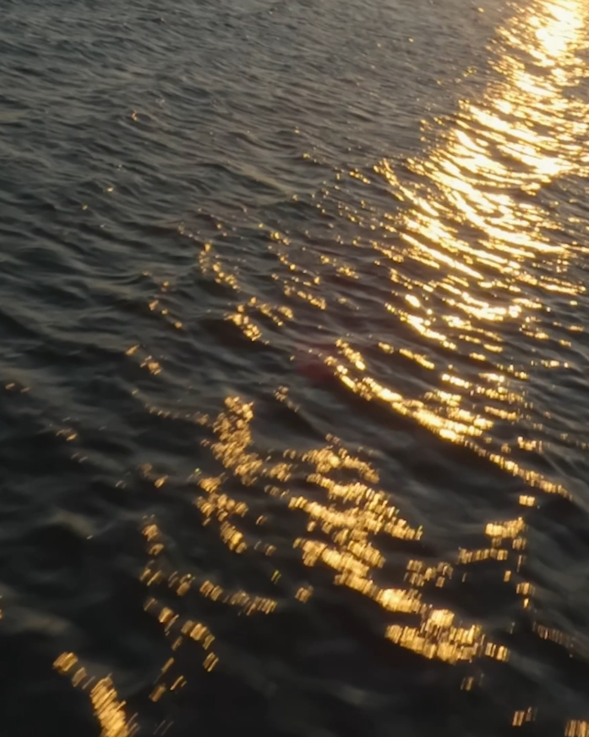 Mark Castle | Director, home: Works (Fig. 5)