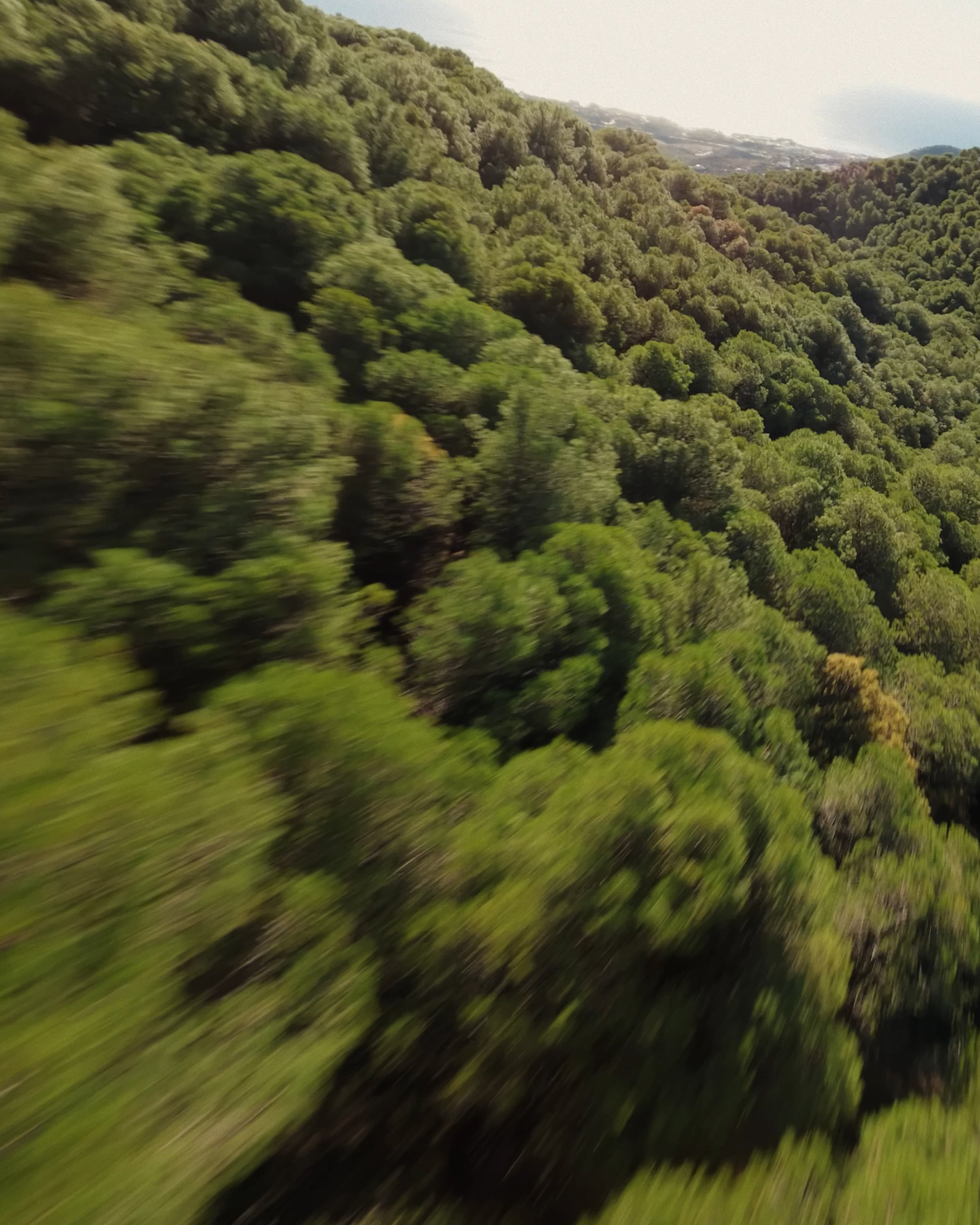 Mark Castle | Director, home: Works (Fig. 15)