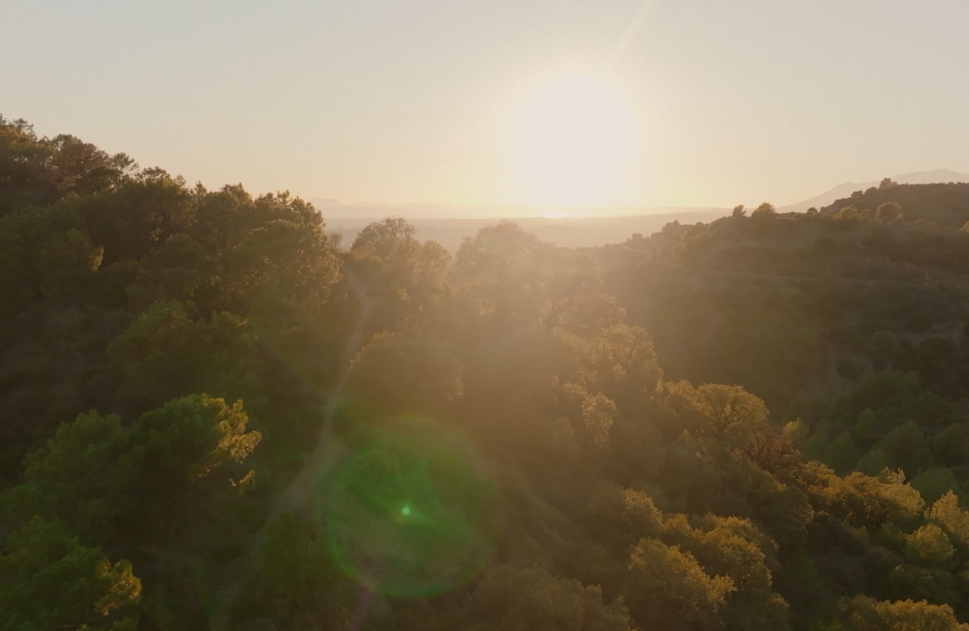 Mark Castle | Director, home: Works (Fig. 9)